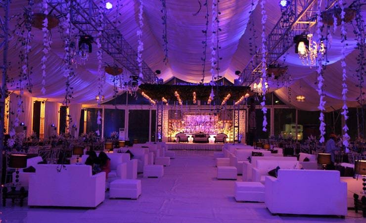 Wedding Setup